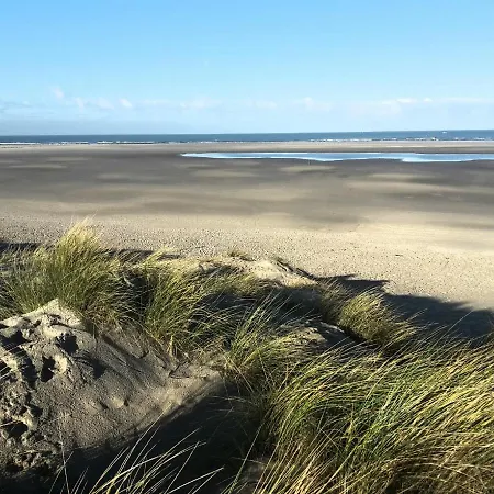 Guest house Private Logies Texel Woodart *