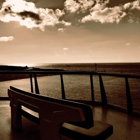 Private Logies Texel Woodart