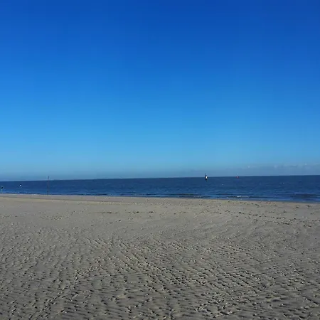 Private Logies Texel Woodart *