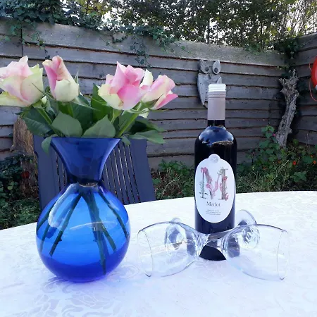 Private Logies Texel Woodart Гостевой дом