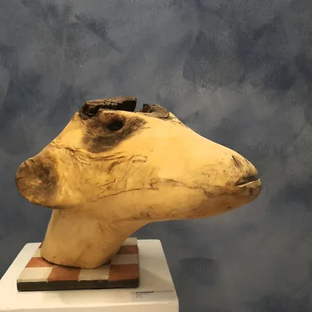 Private Logies Texel Woodart Гостевой дом 3*