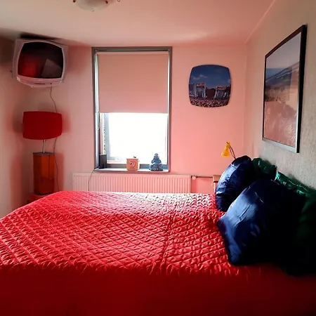 Private Logies Texel Woodart 3* Midden-Eierland