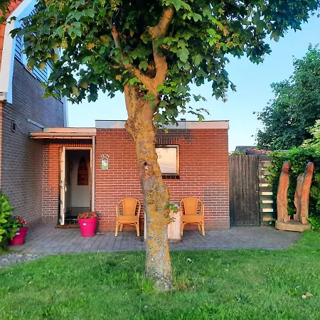Private Logies Texel Woodart Guest house 3*